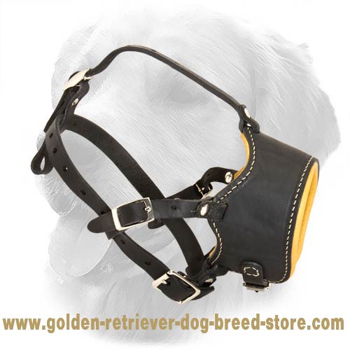 Snout Shot Leather Muzzle with Nappa Padding