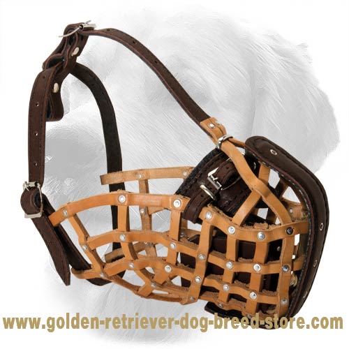 Style Leather Basket Muzzle for Training
