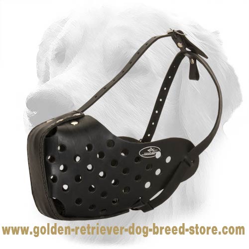 Fantastic Leather Golden Retriever Muzzle for Training