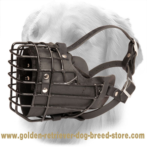 Wire Muzzle Covered with Black Rubber for Winter