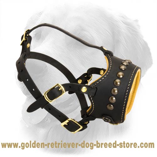 Black Leather Muzzle Decorated with Brass Studs