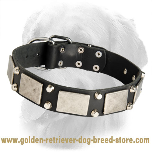 Amazing Design Golden Retriever Leather Collar with Nickel Plates and Pyramids - Click Image to Close