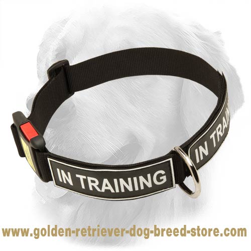 Durable Nylon Golden Retriever Collar with Identification Patches