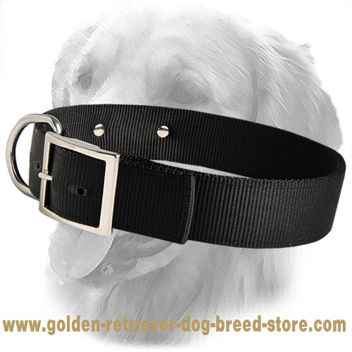 Golden Retriever Personalized 2 ply Nylon Collar