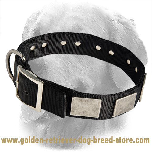 Exclusive Nylon Collar Decorated With Vintage Plates