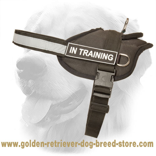 Practical Nylon Golden Retriever Harness with Reflective Straps