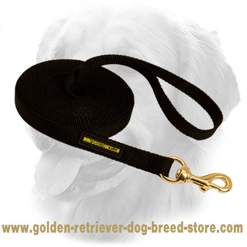 Golden Retriever Nylon Leash Training