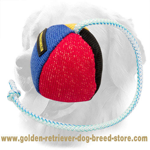 Golden Retriever French Linen Ball for Bite Training