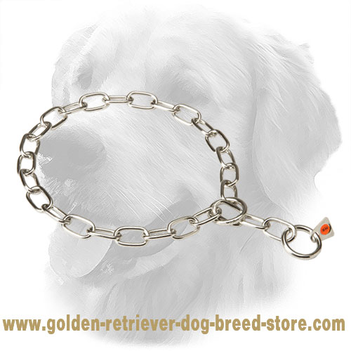 HS Stainless Steel Golden Retriever Fur Saver