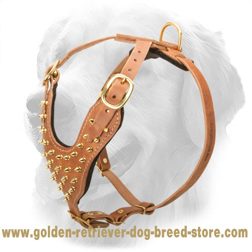 Designer Leather Golden Retriever Harness with Brass-Plated Spikes - Click Image to Close