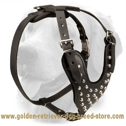 Walking Leather Golden Retriever Harness with Nickel Pyramids - Click Image to Close