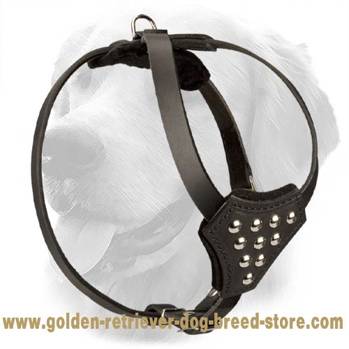 Small Designer Leather Golden Retriever Harness with Studs