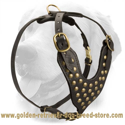 Studded Design Leather Golden Retriever Harness for Walking