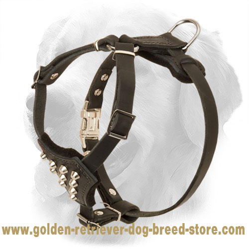 Small Padded Leather Golden Retriever Harness with Pyramids - Click Image to Close