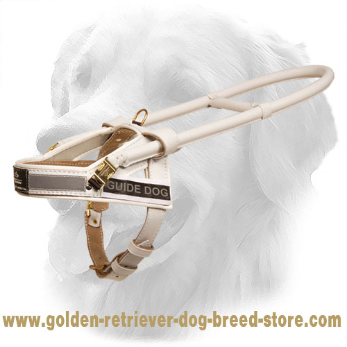 White Leather Golden Retriever Harness for Guide Dogs