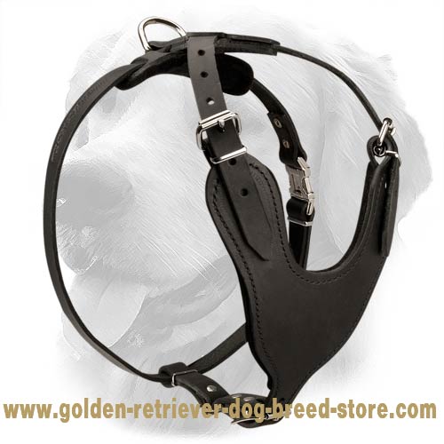 Leather Golden Retriever Harness for Pro Training and Daily Walking