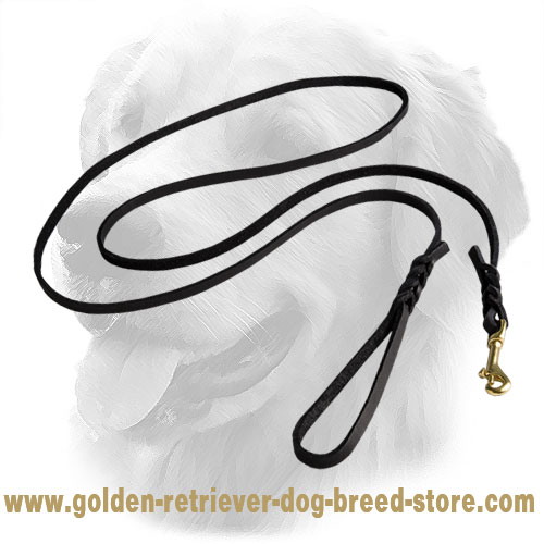 Golden Retriever Leather Leash Braided 10 mm