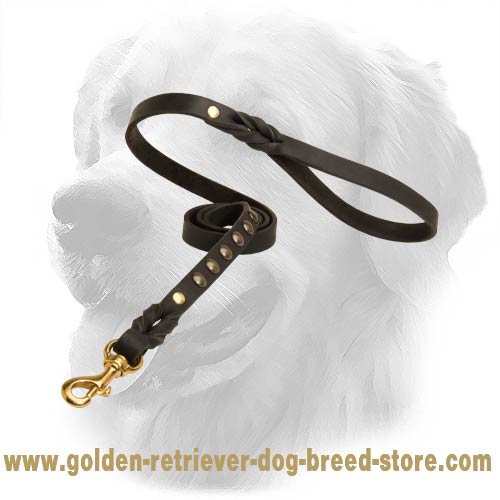 Studded Leather Golden Retriever Leash