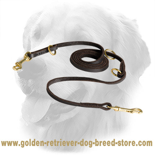 Leather Golden Retriever Leash for Different Kinds of Activities