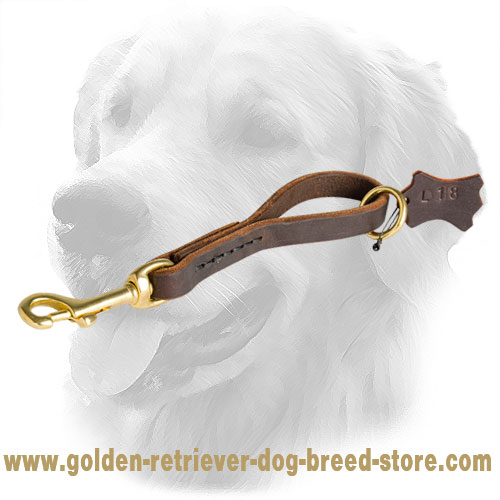 Easy Fast Grab Pull Tab Leather Golden Retriever Leash