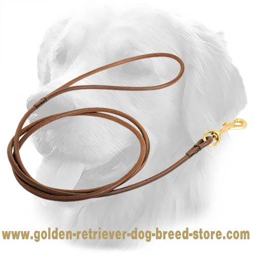 Handcrafted Round Leather Golden Retriever Leash for Dog Shows