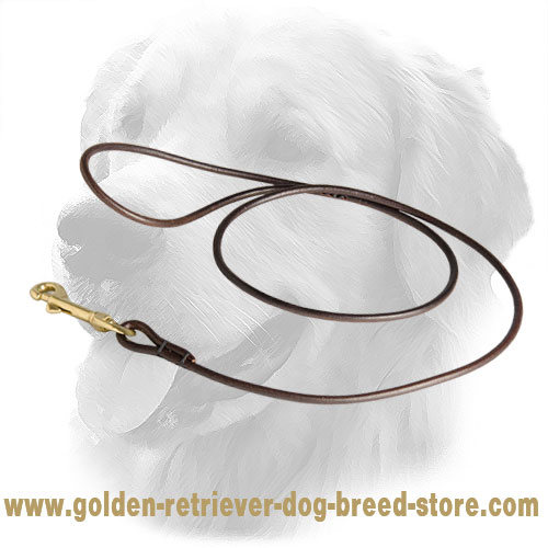 Round Leather Golden Retriever Leash for Dog Shows