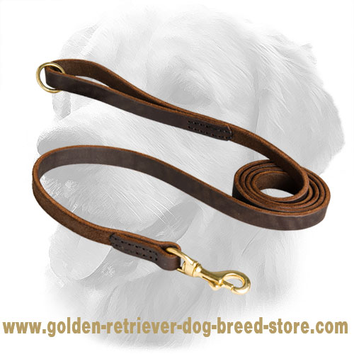 Leather Golden Retriever Leash Stitched Design