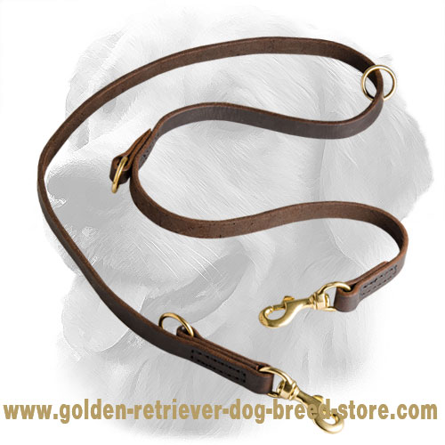 Golden Retriever Leather Leash Multipurpose 20 mm