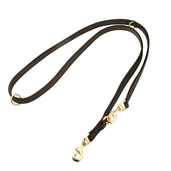 Golden Retriever Nylon Leash I-Grip - Click Image to Close