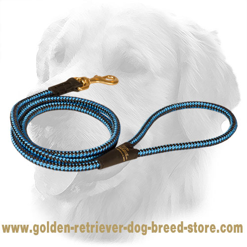 Golden Retriever Nylon Cord Leash 10 mm