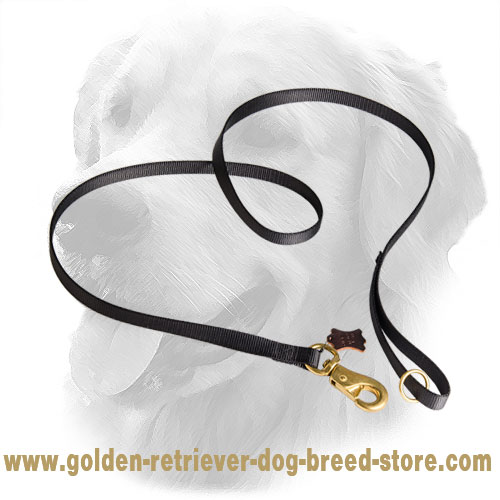 Multifunctional Nylon Golden Retriever Leash for Everyday Use