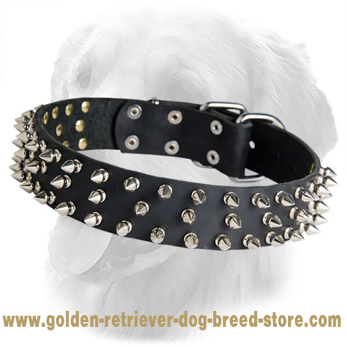 Golden Retriever Leather Collar with 3 Rows of Spikes