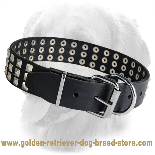 Golden Retriever Leather Collar Studded Design