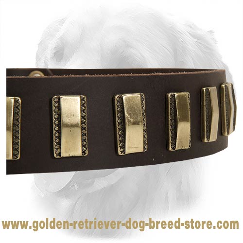 Unique Design Leather Collar with Shiny Brass Plates - Click Image to Close