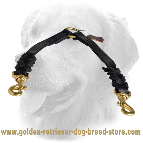 Golden Retriever Leather Coupler Braided