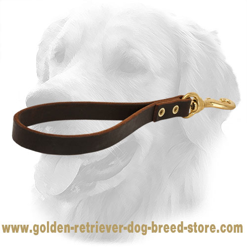 Golden Retriever Leather Leash Short - Click Image to Close