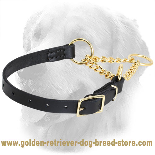 behavior correction collar for dogs