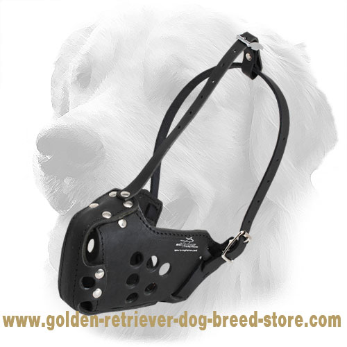 Leather Golden Retriever Muzzle for Police and Military Service - Click Image to Close