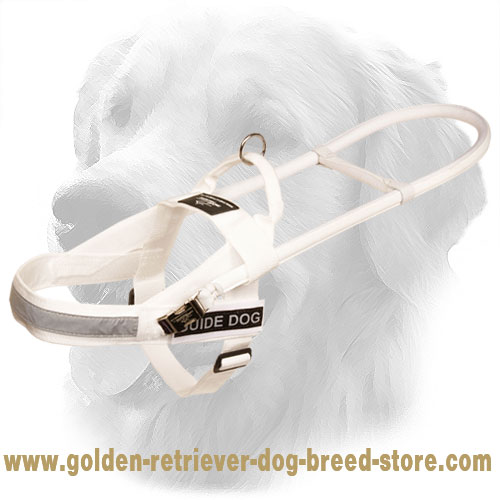 White Nylon Golden Retriever Harness for Guide and Assistance