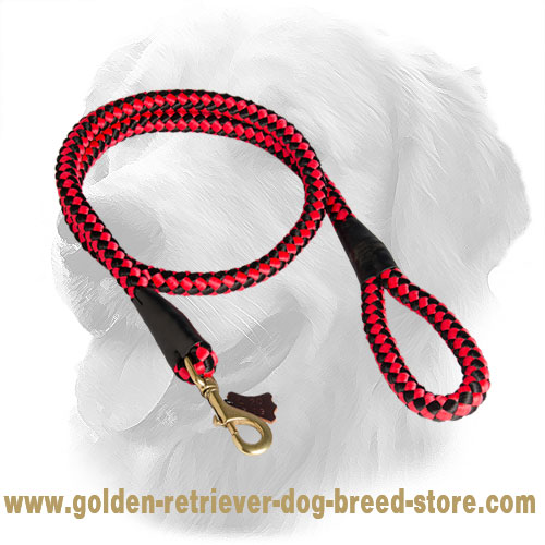Golden Retriever Nylon Cord Leash 20 mm