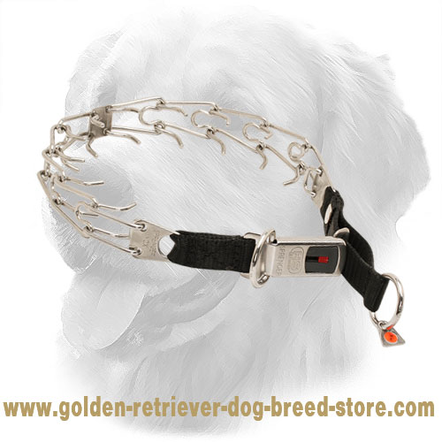 Stainless Steel Golden Retriever Pinch Prong Collar with Nylon Loop and Click Lock Buckle - Click Image to Close