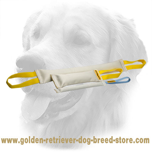 Fire Hose Golden Retriever Bite Training Set (3 Dog Items)