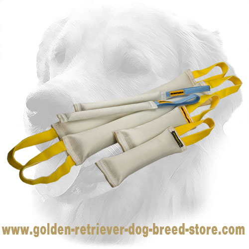 Fire Hose Golden Retriever Bite Training Set (6 Dog Supplies)