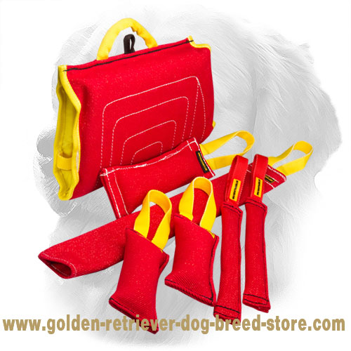 French Linen Golden Retriever Bite Training Set (7 Dog Items)