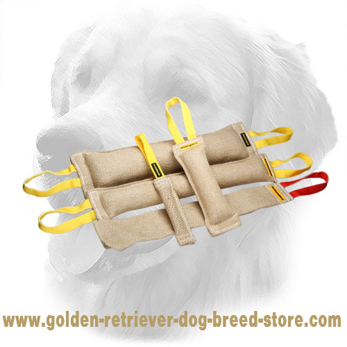 Eco-Friendly Jute Golden Retriever Bite Training Set (5 Items)