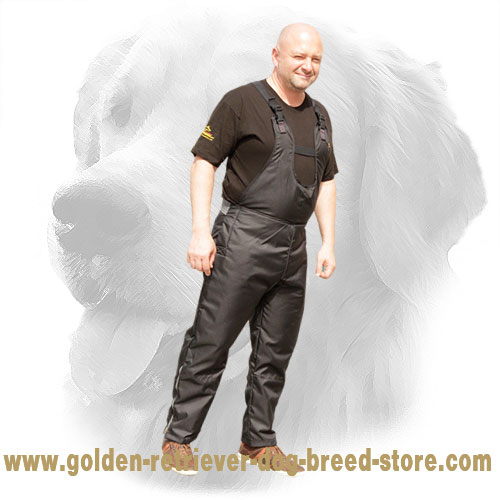 Nylon Protection Scratch Pants for Golden Retriever Training
