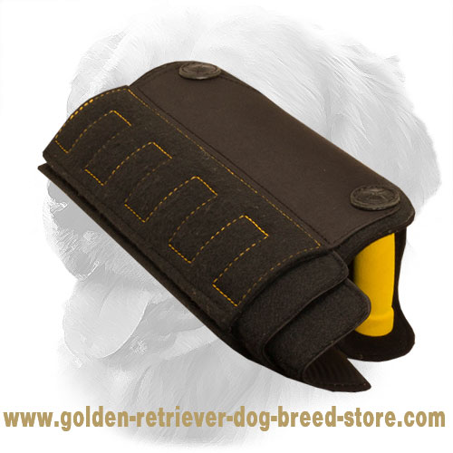 Ergonomic Design Golden Retriever Bite X-Builder
