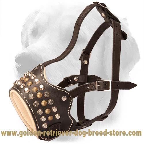 Studded Leather Muzzle