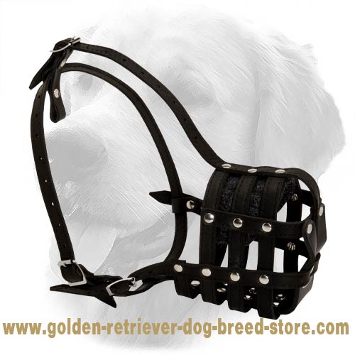 Full Grain Leather Everyday Dog Muzzle - Click Image to Close