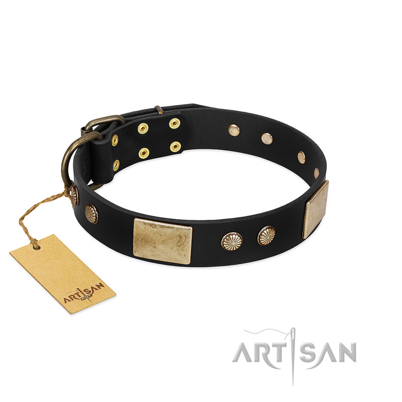"Antique Gloss" FDT Artisan Black Leather Golden Retriever Collar with Bronze-like Plates and Small Studs